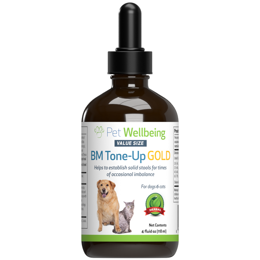BM Tone-Up Gold - Supports Healthy Stools and Digestive Function in Dogs