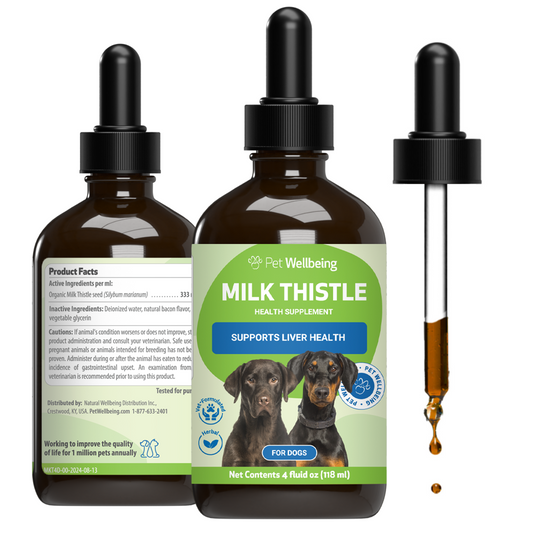 Milk Thistle - for Healthy Liver Function in Dogs