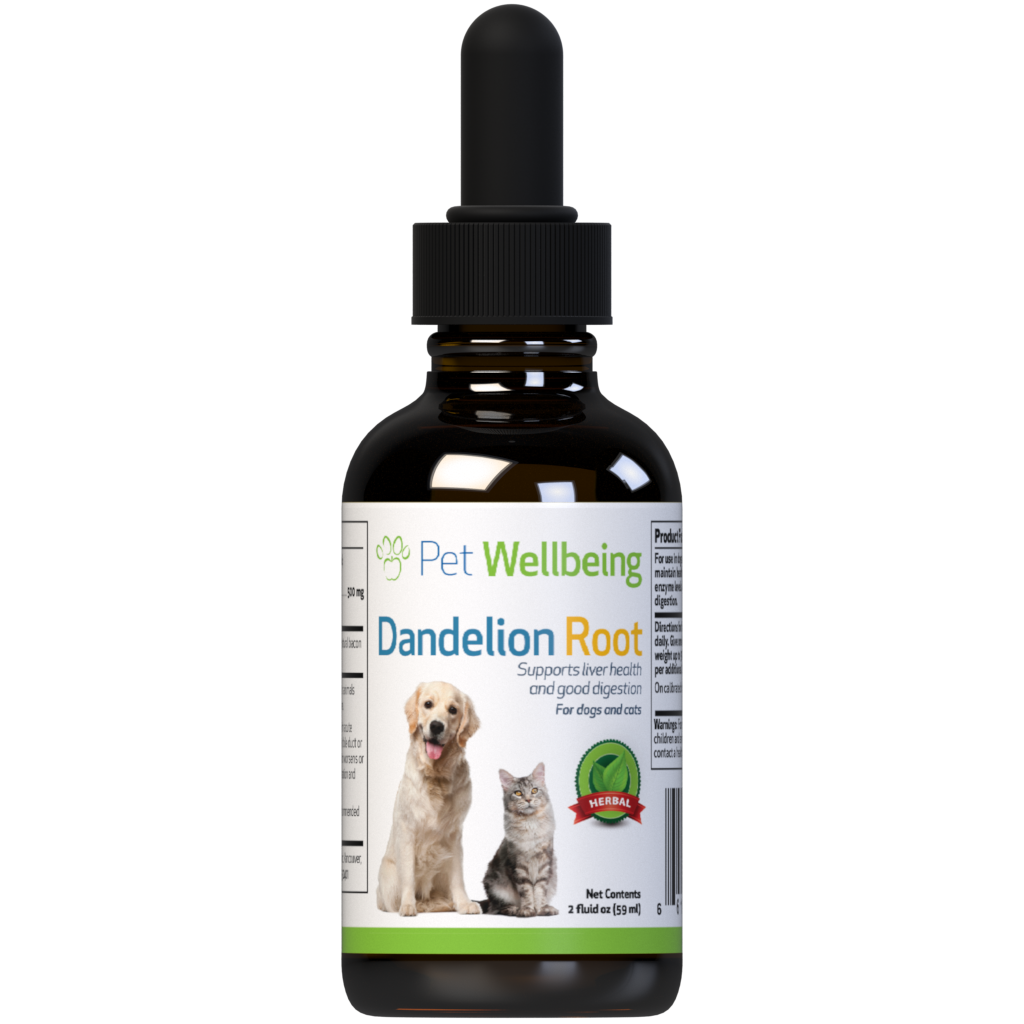 Milk thistle for dog liver disease best sale