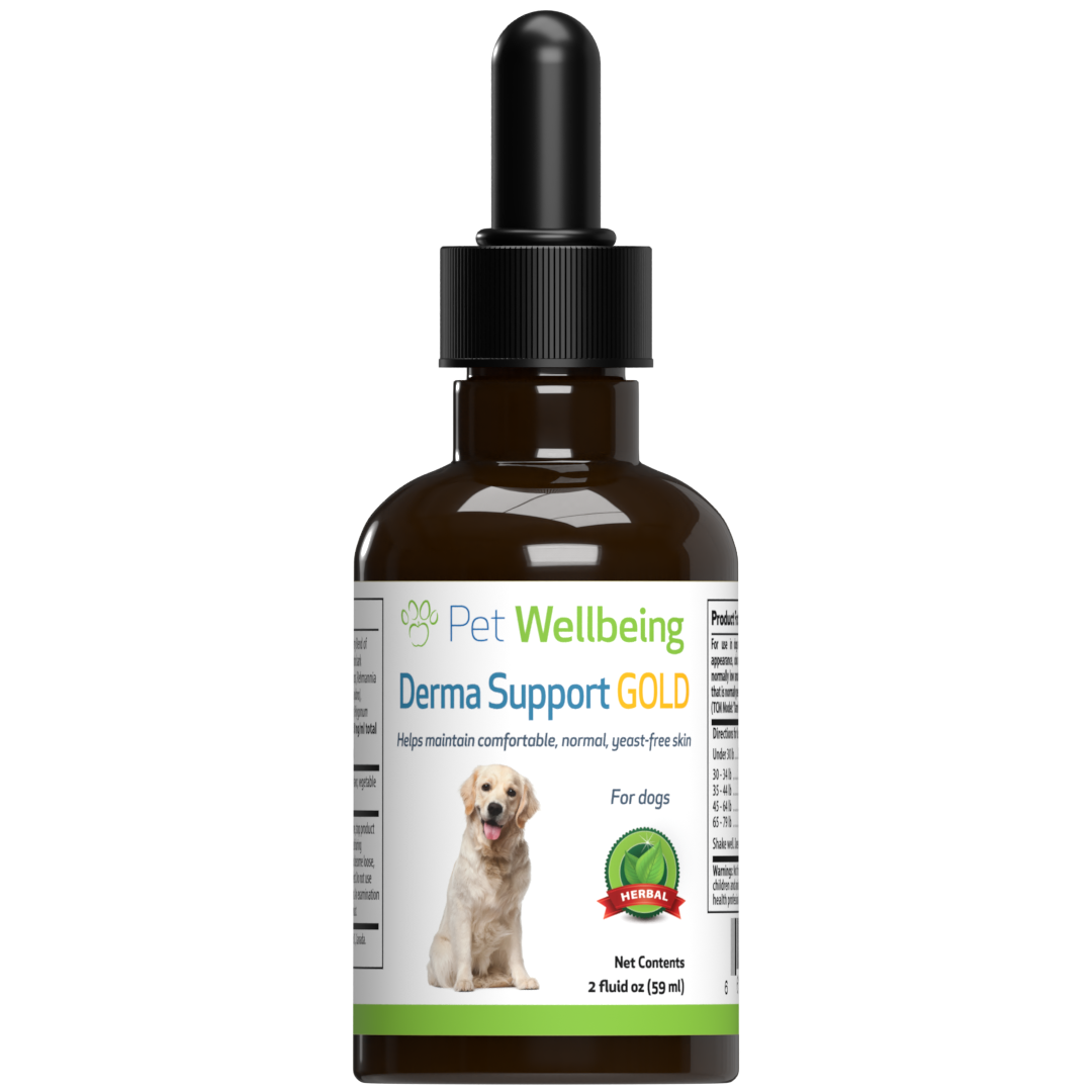 Dha gold for sales dogs
