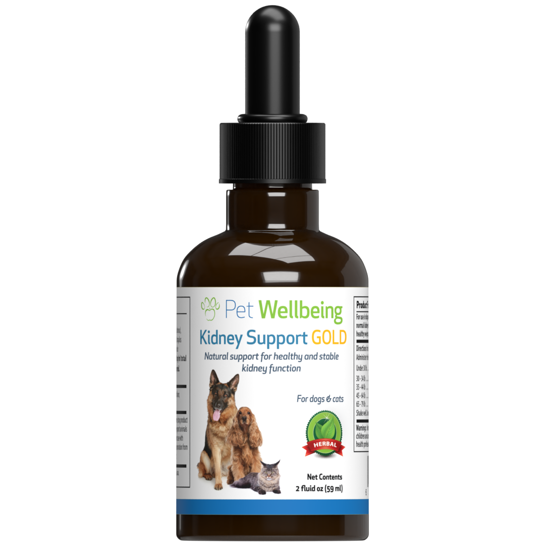 Kidney Support Gold for Healthy Kidney Function Support in Cats Pet