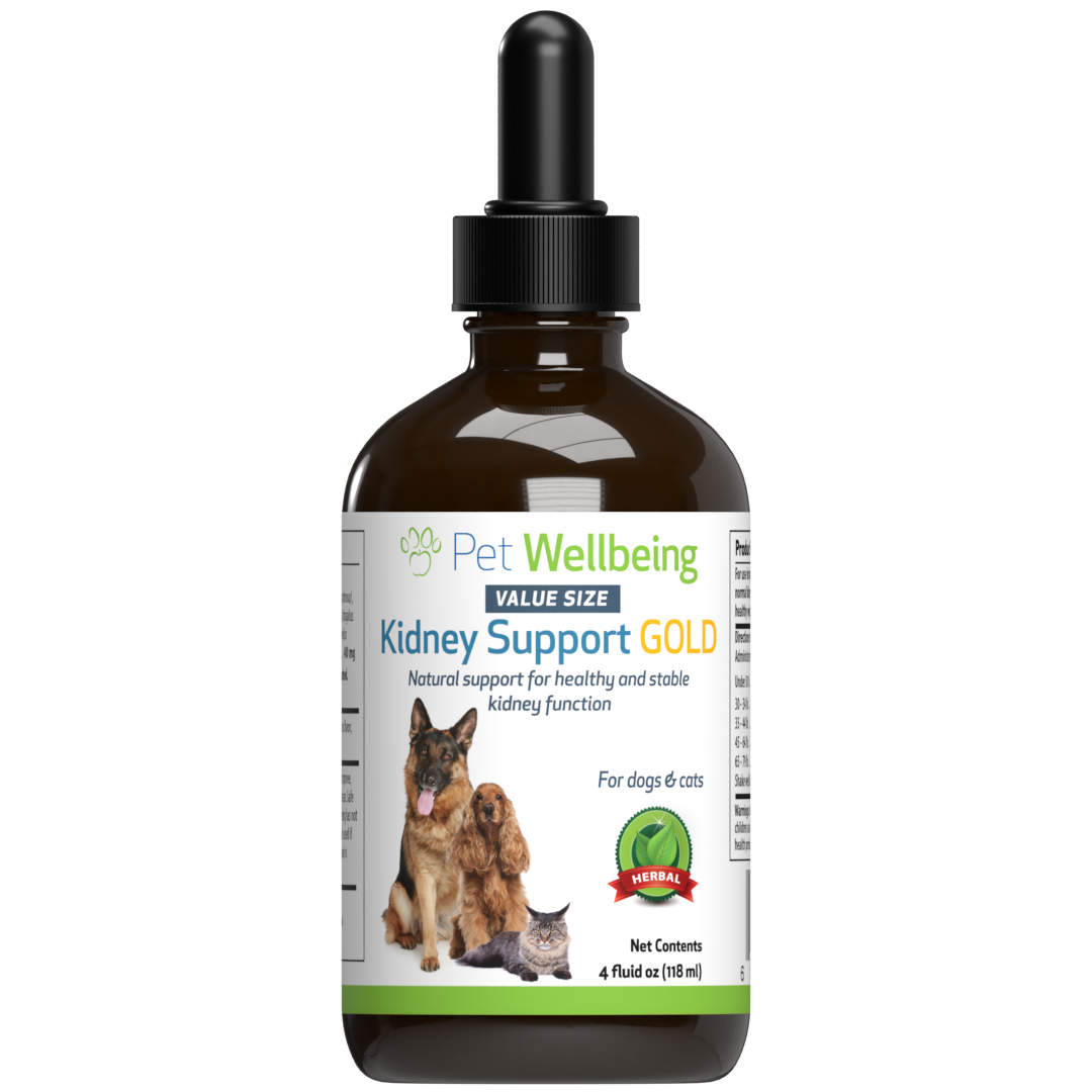 Kidney Support Gold for Healthy Kidney Function in Dogs Pet Wellbeing UK