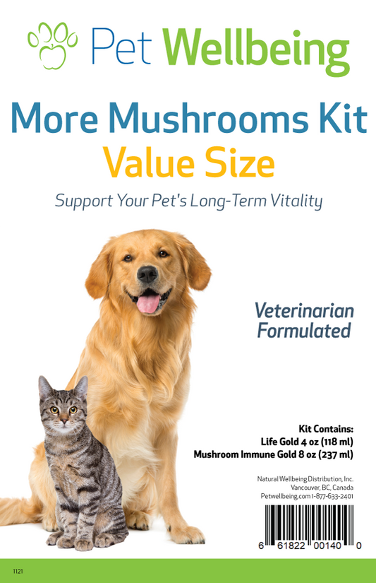 More Mushrooms Kit for Immune & Lymphatic Support - Value Size