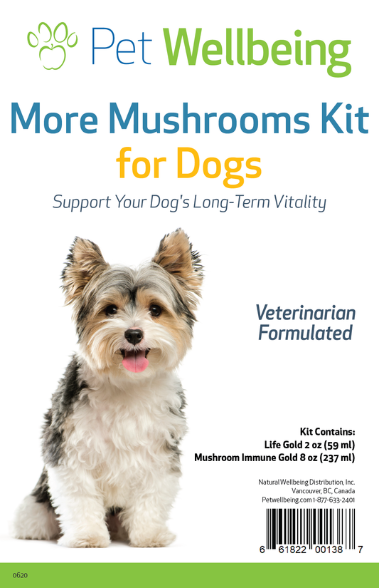 More Mushrooms Kit for Dogs - Immune & Lymphatic Support