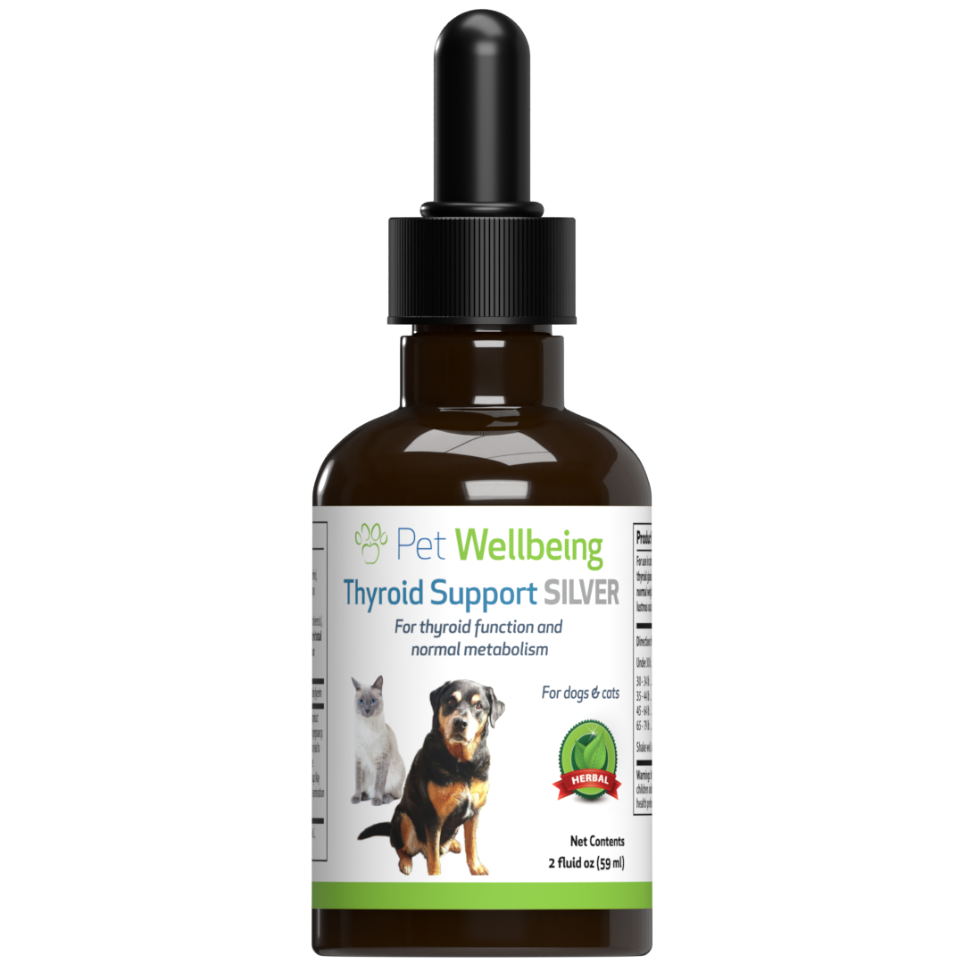 Thyroid medicine sale for dogs