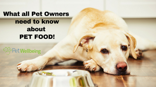What Every Pet Owner Must Know about Pet Food Labels