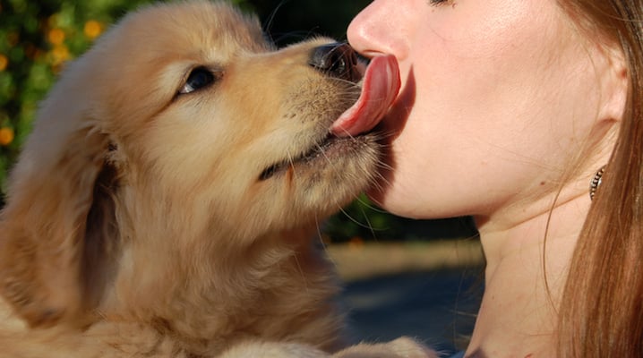4 Dangerous Types Of Bacteria You Could Catch From Your Dog