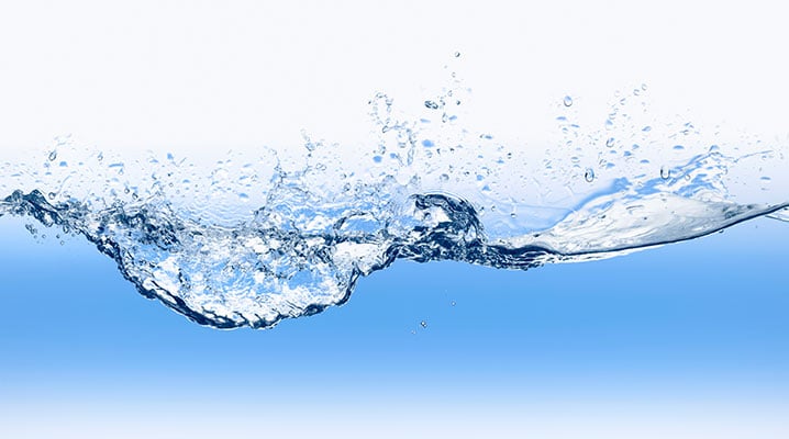 Fresh Water - Pets Like it Better!