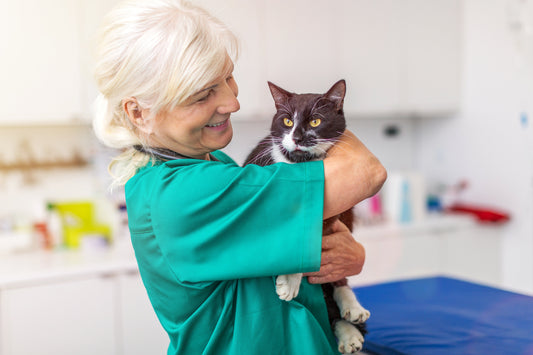 How is Integrative Medicine Changing How Vets Treat Pet Cancer?