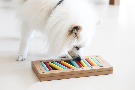 Natural Ways to Boost Your Pet's Brain Health