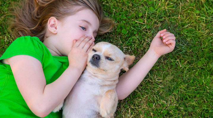 Amazon Claims Pet Translators Will Be Available In Ten Years