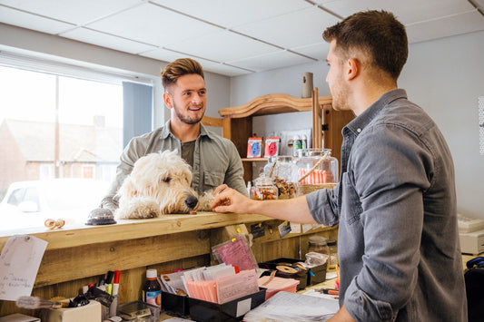 Follow These Important Steps Before Boarding Your Dog for Vacation