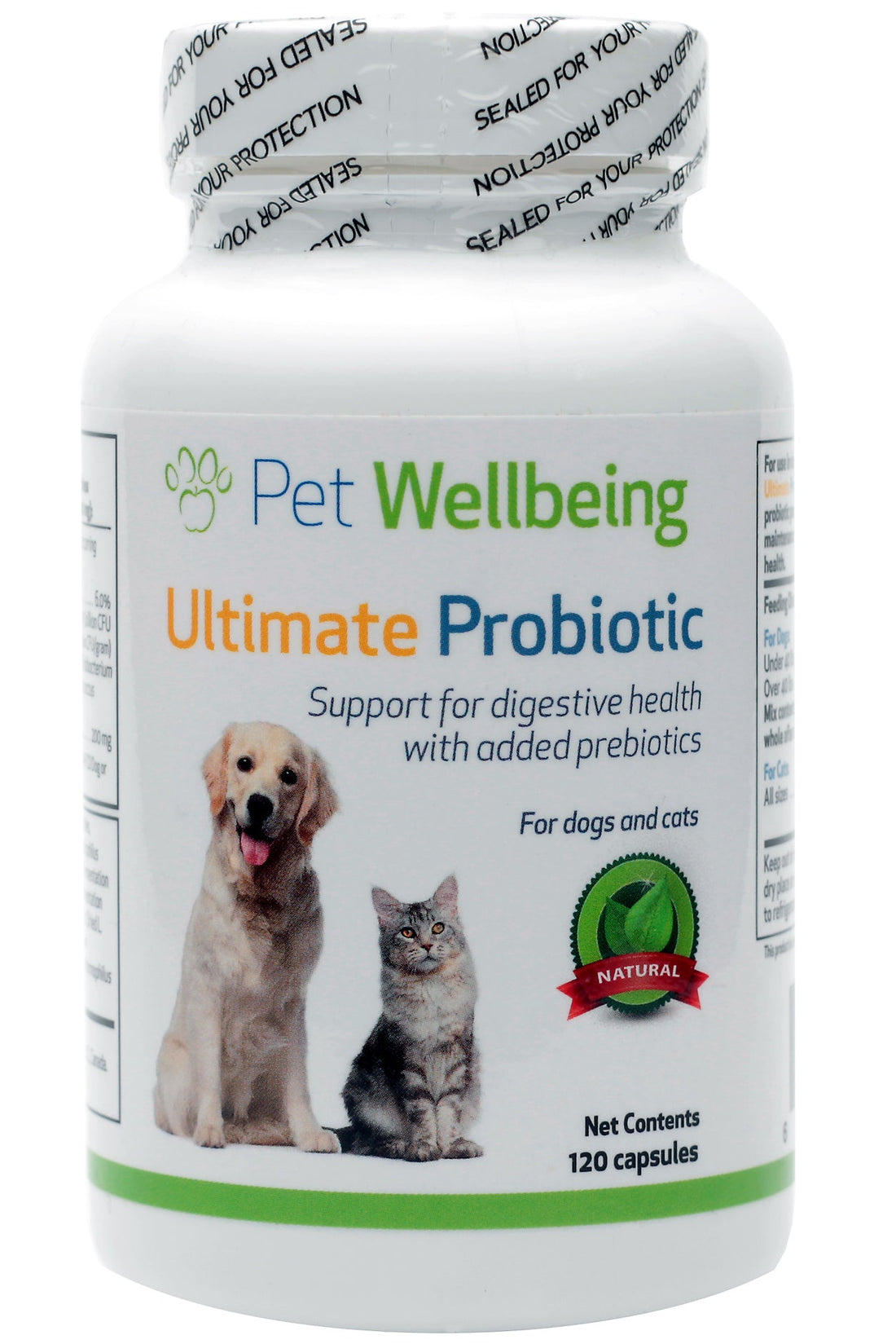 Helping Maltese with intractable itch and Canine Allergies
