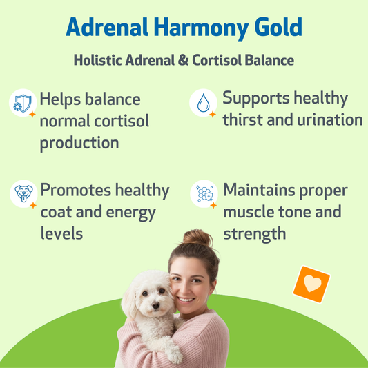Natural Holistic Pet Supplements | Vet-Formulated Herbal Medicine