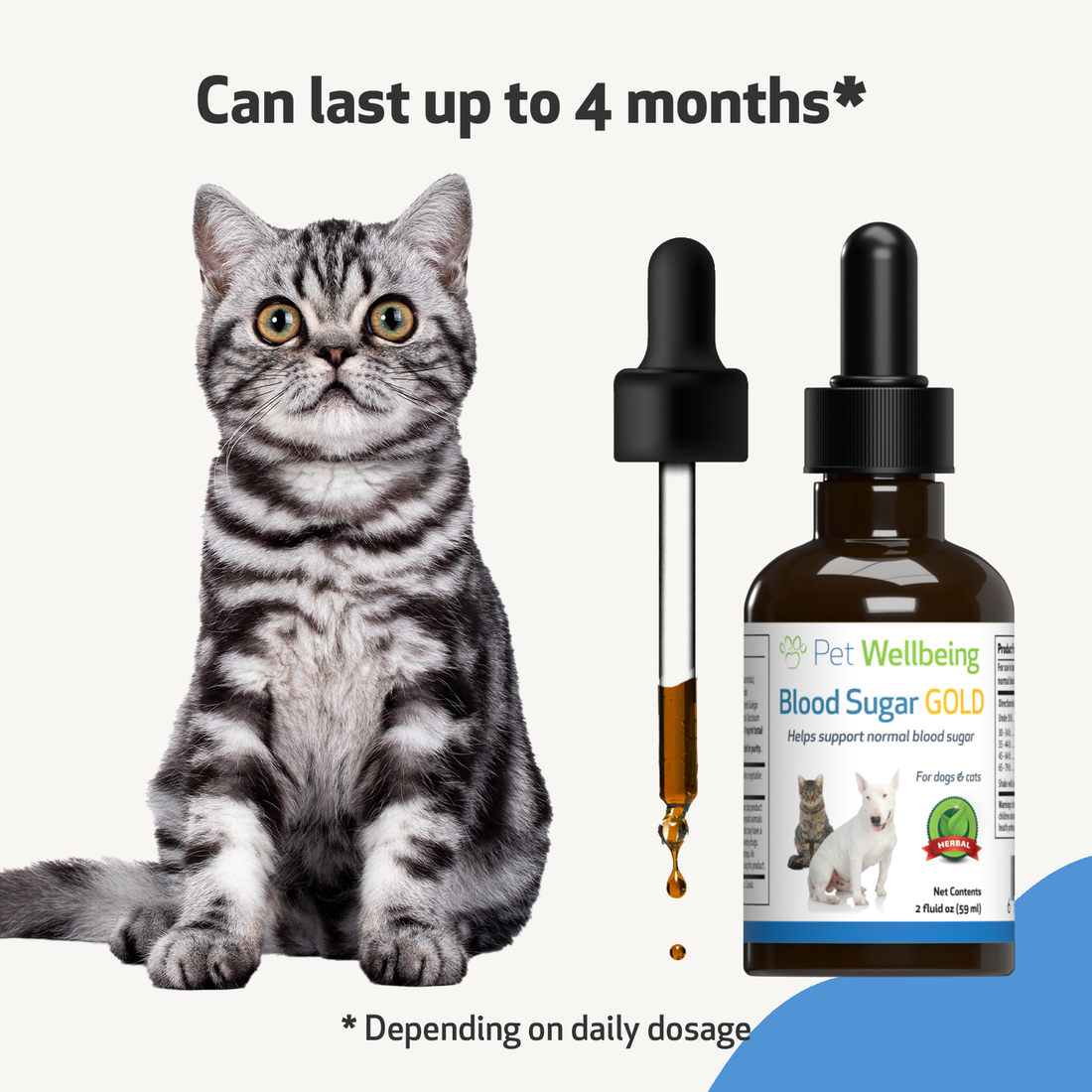 Blood Sugar Gold Blood Sugar Support for Cats Pet Wellbeing UK