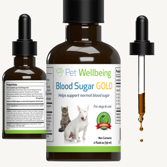 Blood Sugar Safe Treats For Diabetic Dogs Blood Sugar Gold Blood