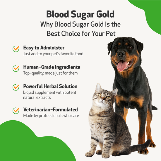 Blood Sugar Gold Blood Sugar Support for Cats Pet Wellbeing UK