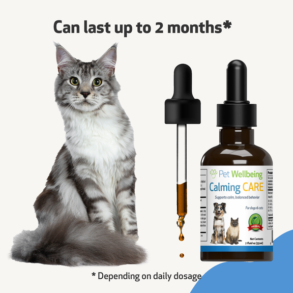 Calming med for cats 2025