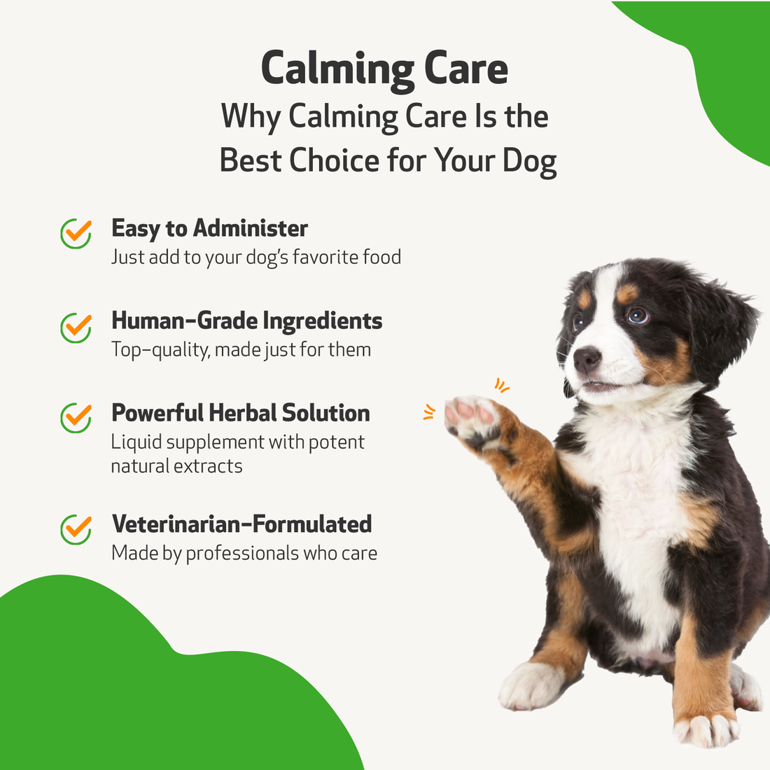 Calming 2024 care dogs