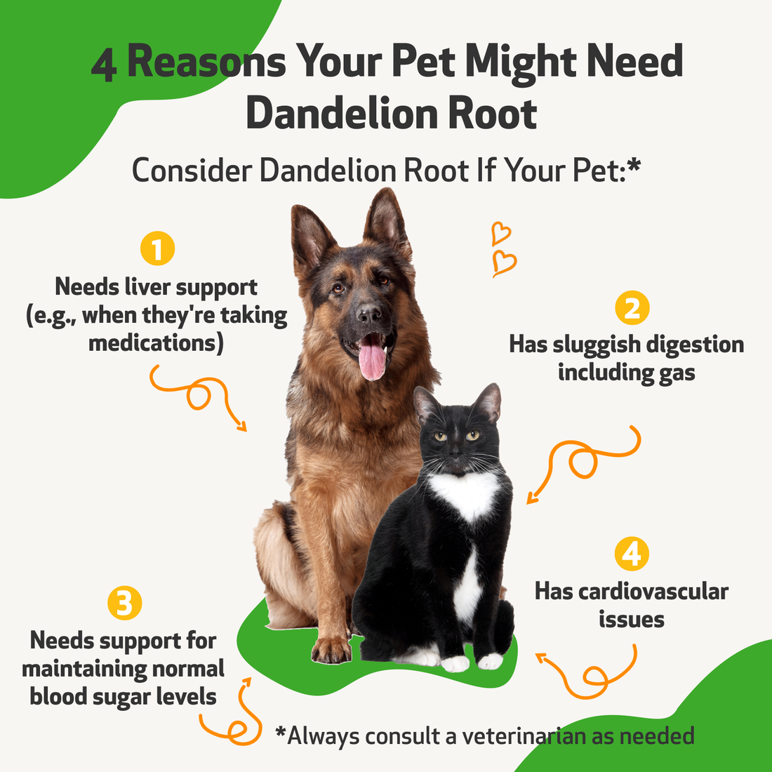 Liver Support, Dogs 7 AMZN Image DandelionRoot4oz 7 5b86f8d8 db8f 4eb1 9dcd