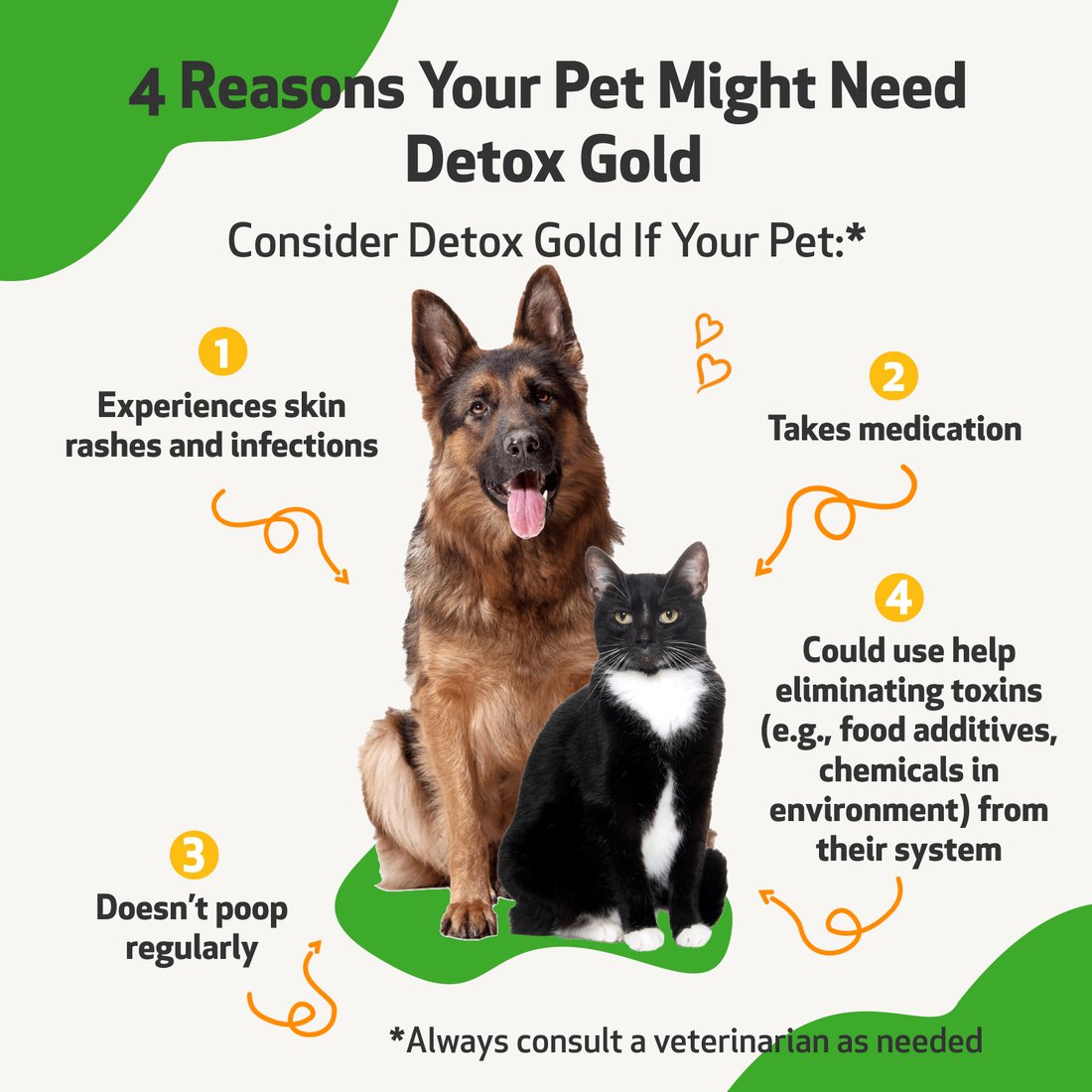 Quality of Life, Dogs 3 AMZN Image DetoxGold4oz 7 7e82dccf f231 49c1 9536