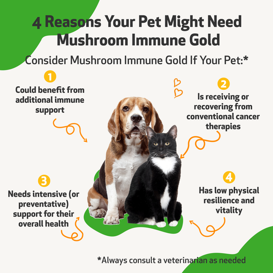 Mushroom immune gold for dogs deals