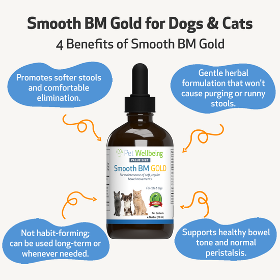 Smooth BM Gold Supports Healthy Bowel Movements in Cats Pet Wellbeing UK
