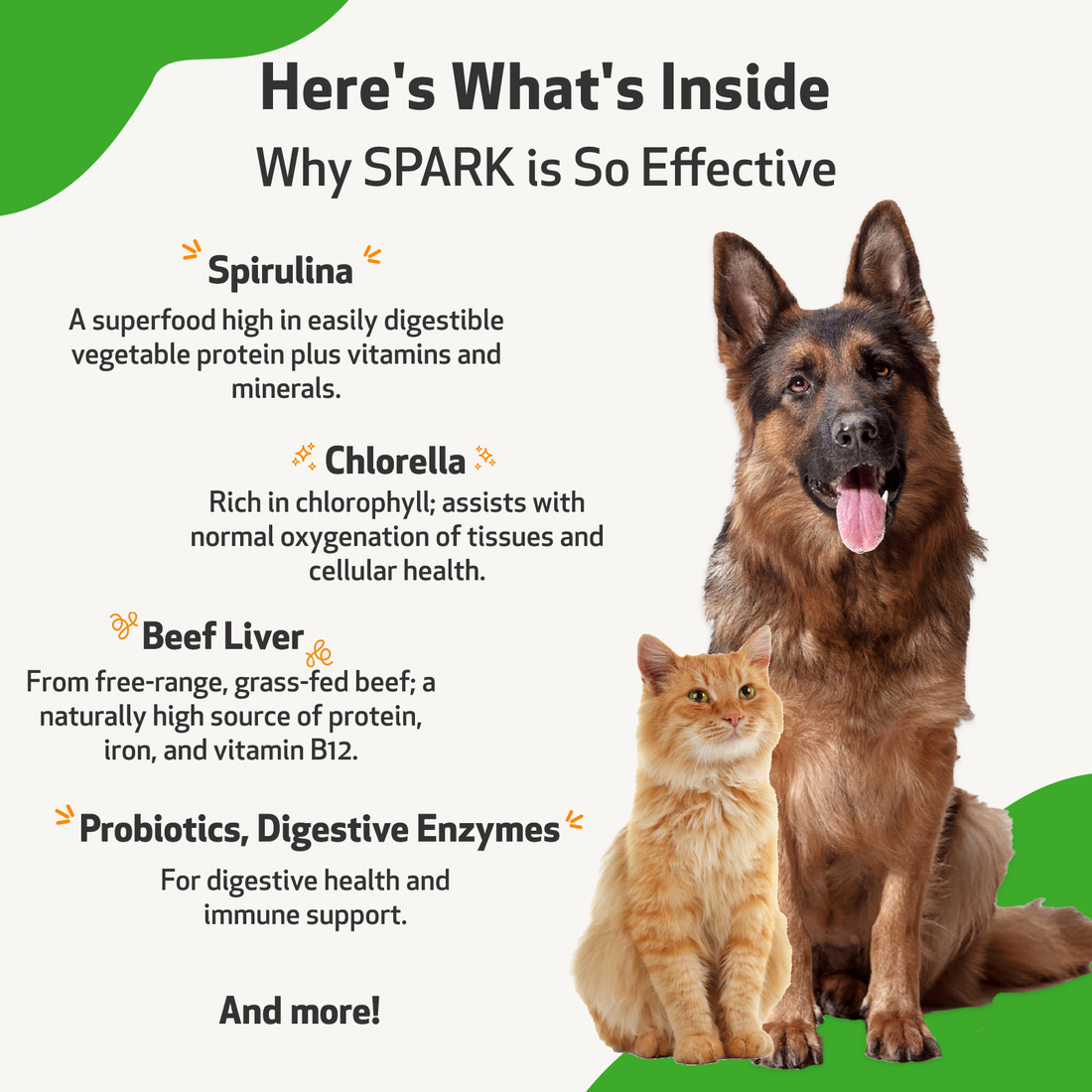 Pet wellbeing spark hotsell