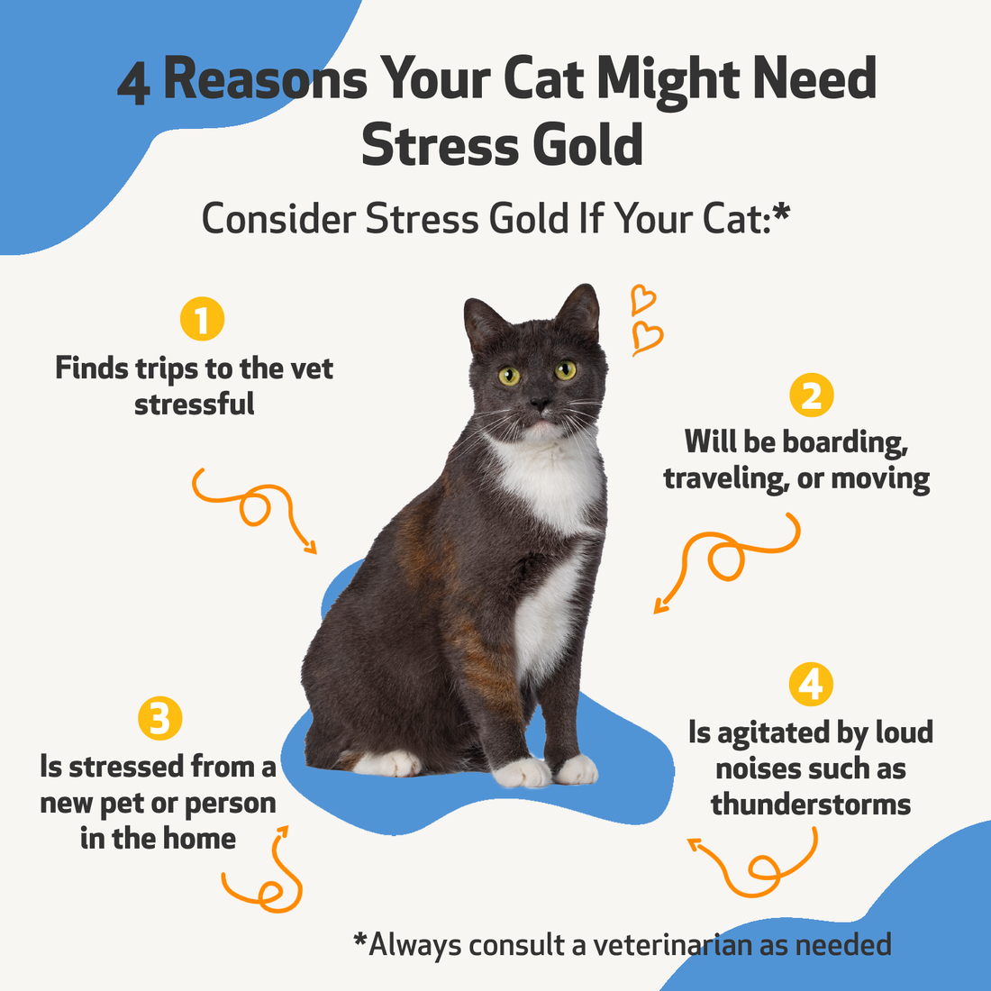 Stress and Anxiety, Cats 5 Sress Gold_Benefits_Cats