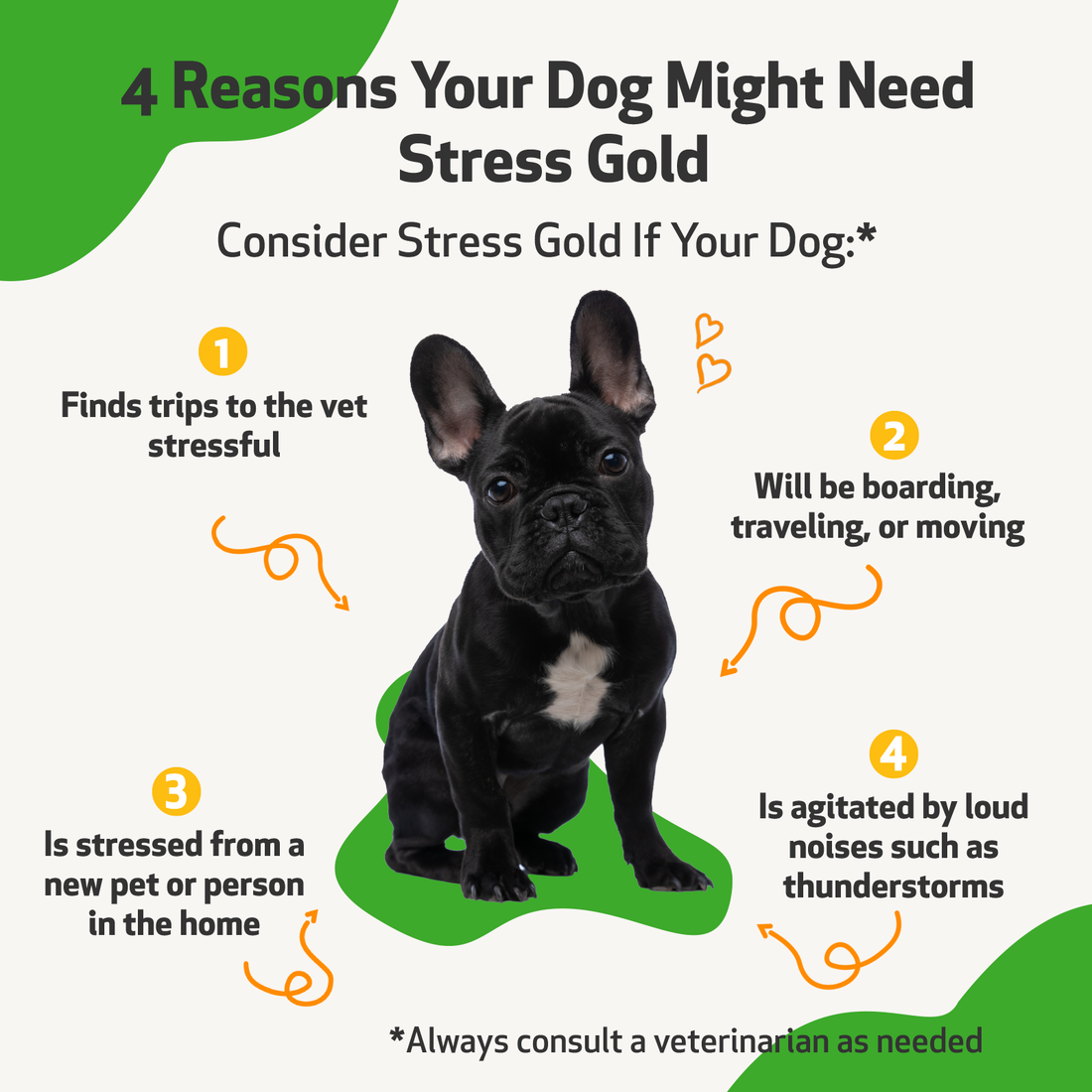Stress and Anxiety, Dogs 5 Stress Gold for Dogs_Benefits