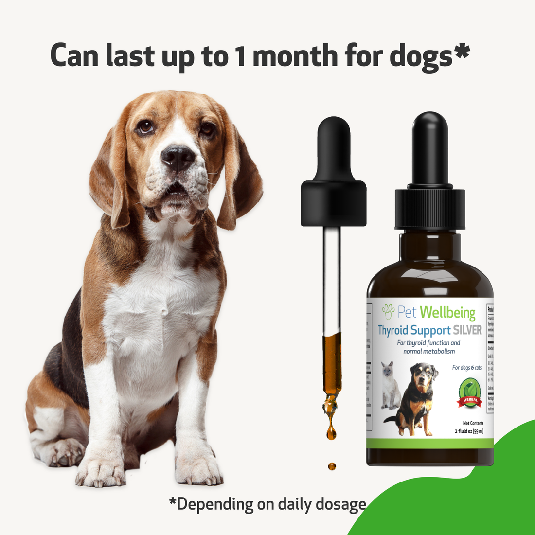 Shops natural thyroid treatment for dogs