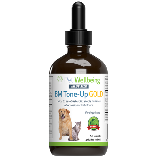 BM Tone-Up Gold - Support for Solid Stools in Dogs