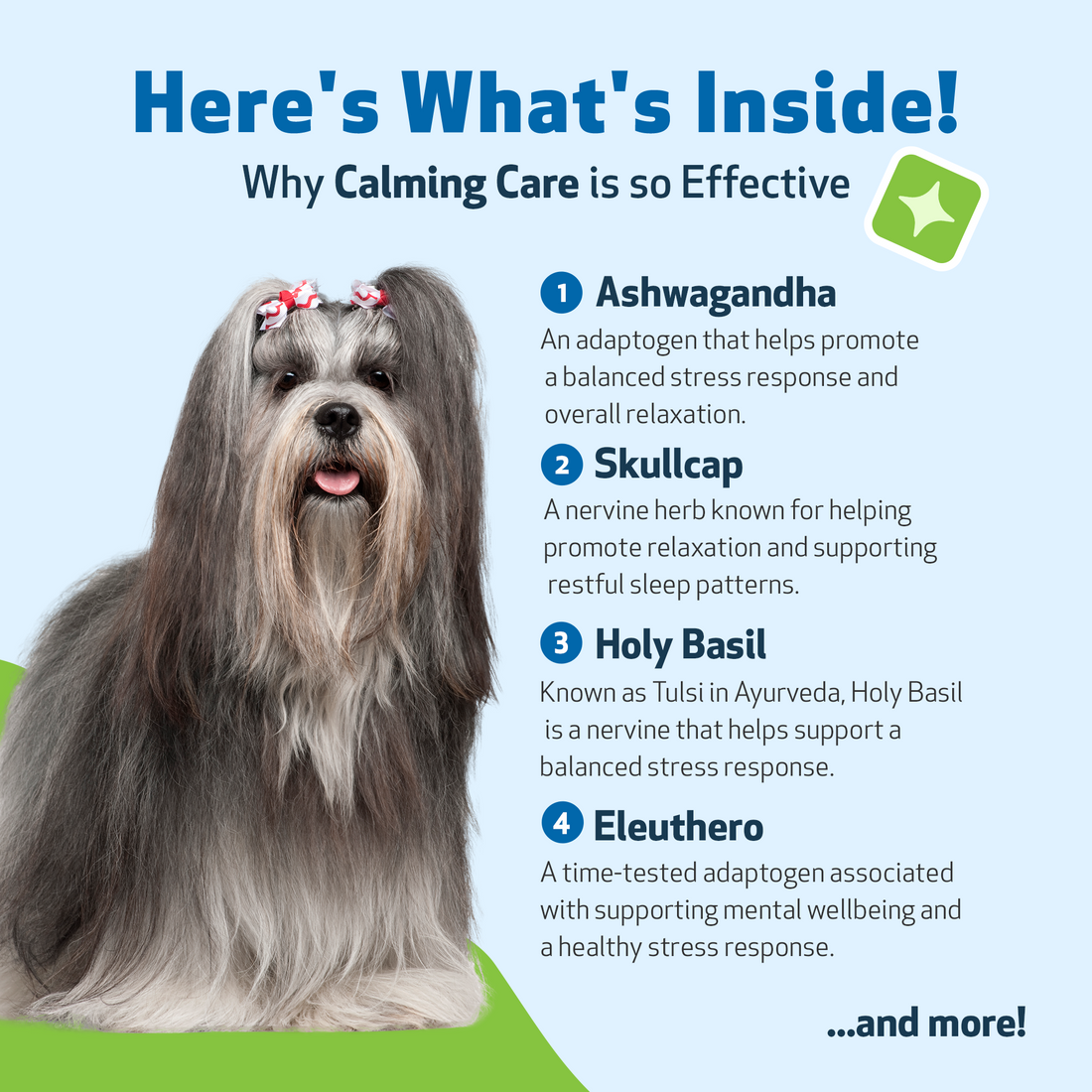 Stress and Anxiety, Dogs 3 Calming Care for Dogs_benefits
