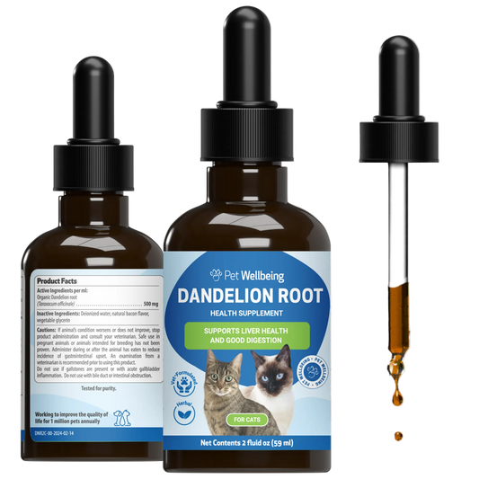 Dandelion Root - Holistic Digestive & Liver Support for Cats