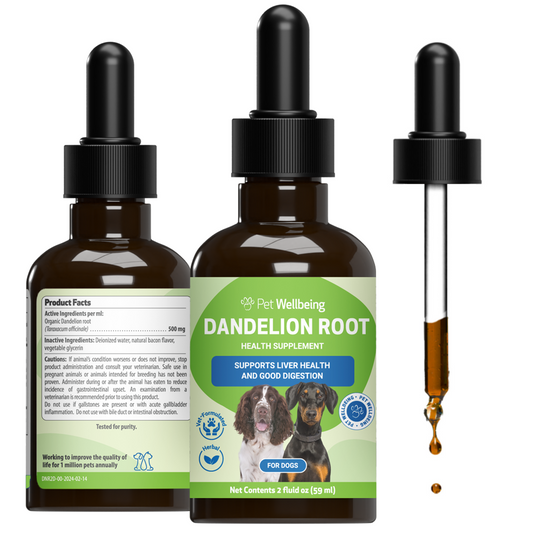 Dandelion Root - Holistic Digestive & Liver Support for Dogs