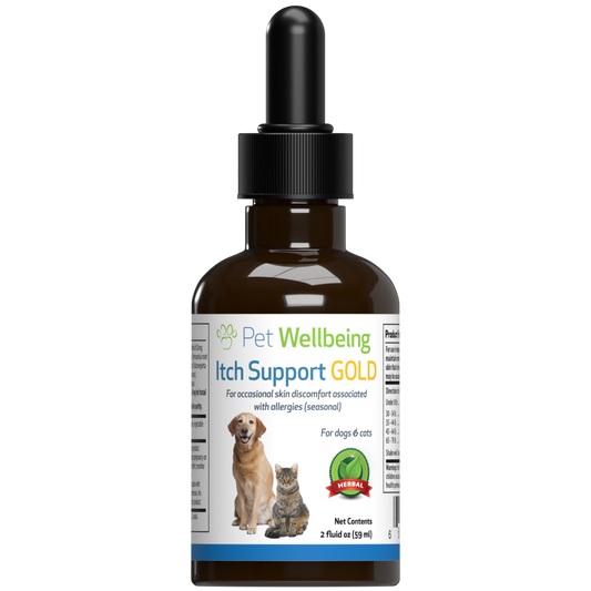 Itch Support Gold for Cats