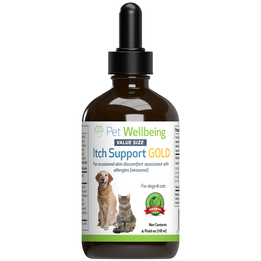 Itch Support Gold - for Occasional Skin Discomfort in Cats