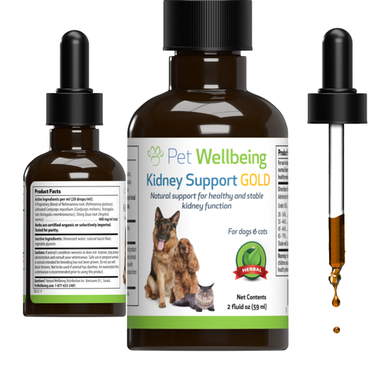 Kidney Support Gold for Healthy Kidney Function Support in Dogs