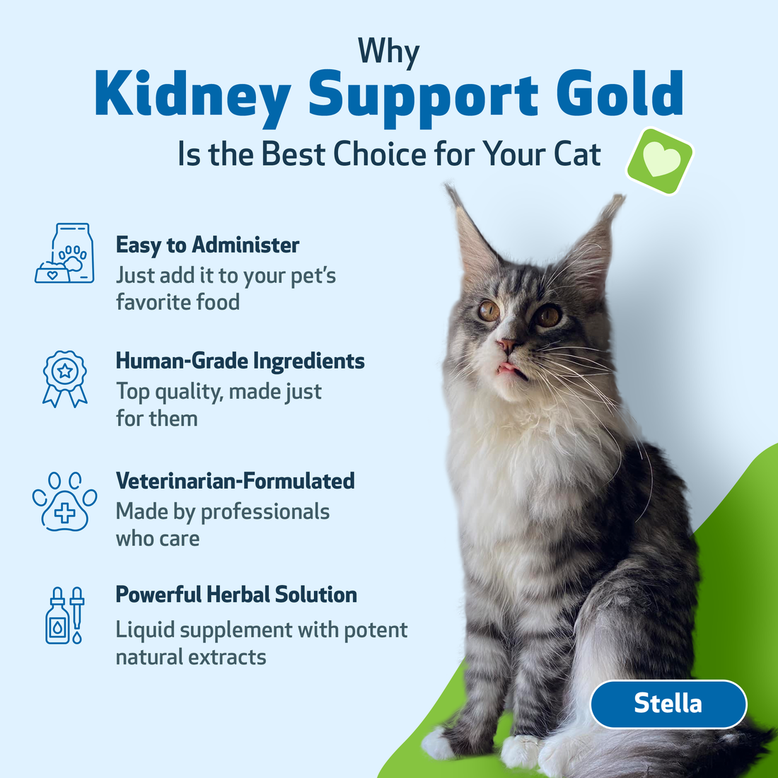 Kidney Support Gold for Healthy Kidney Function in Cats Pet Wellbeing UK