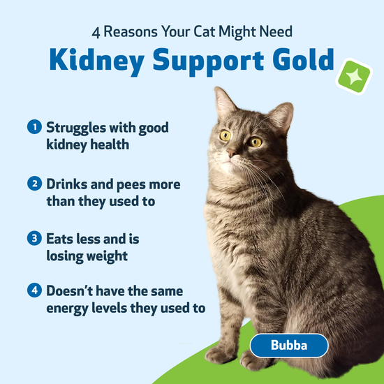 Feline renal hot sale support starter kit