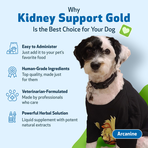 Dog supplements sales for kidney disease
