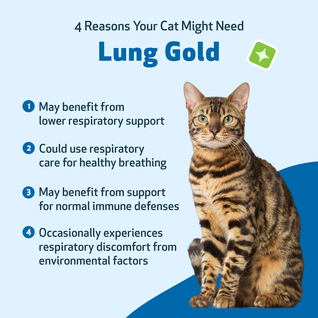 Lung Gold for Cats - Easy Breathing Support 2