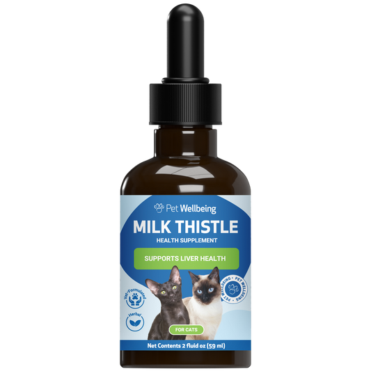 Milk Thistle - for Healthy Liver Function in Cats