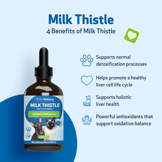 Liquid milk thistle for cats clearance