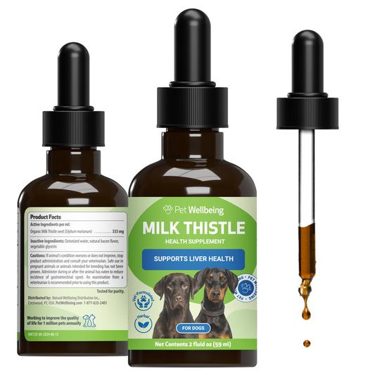 Milk Thistle - for Healthy Liver Function in Dogs