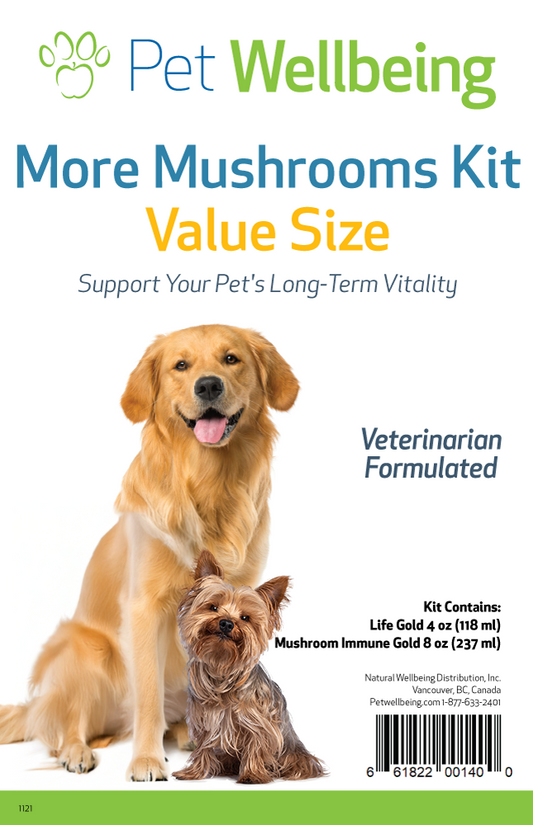 More Mushrooms Kit for Dogs - Complementary and Alternative Care for Immune and Antioxidant Support - Value Size