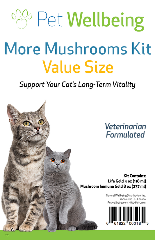 More Mushrooms Kit for Cats - Complementary and Alternative Care for Immune and Antioxidant Support - Value Size
