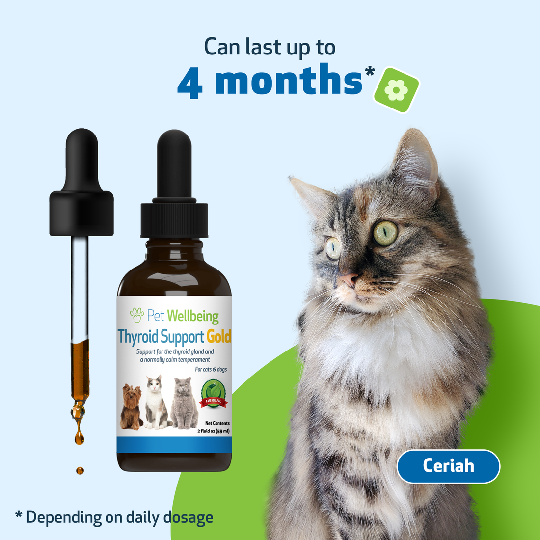 Herbal treatment deals for feline hyperthyroidism