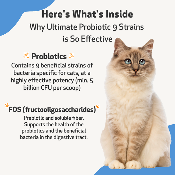 Liquid probiotics for cats hot sale