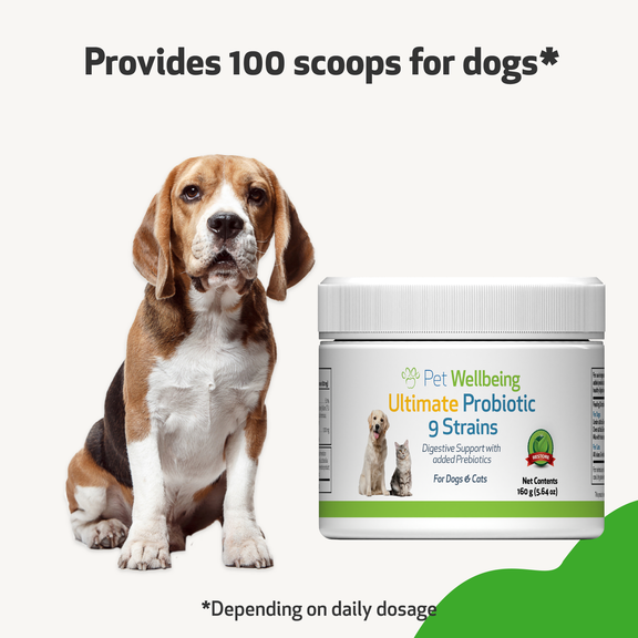 Pet ultimates probiotics for dogs 2024 137 grams
